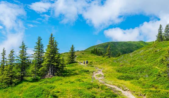 Aandachtstrekker Salzburgerland